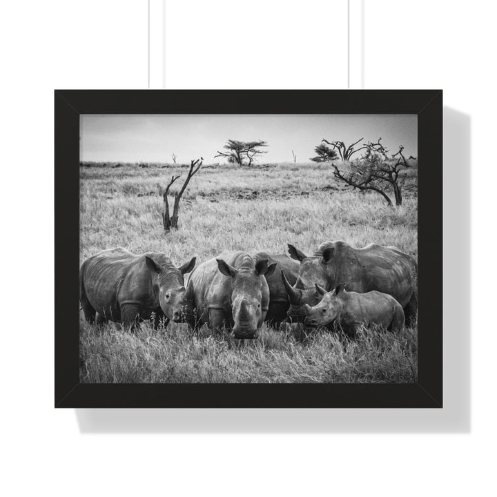 Rhino Family in Black and White - Framed Print