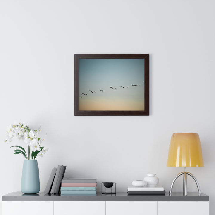 Brown Pelicans in Flight - Framed Print