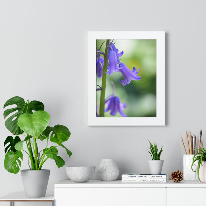 Delicate Bell - Framed Print