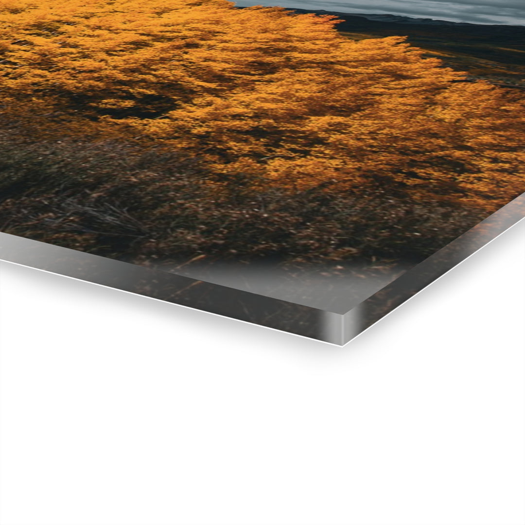 Courage | Acrylic Wall Art Print | Elemental Escape Collection