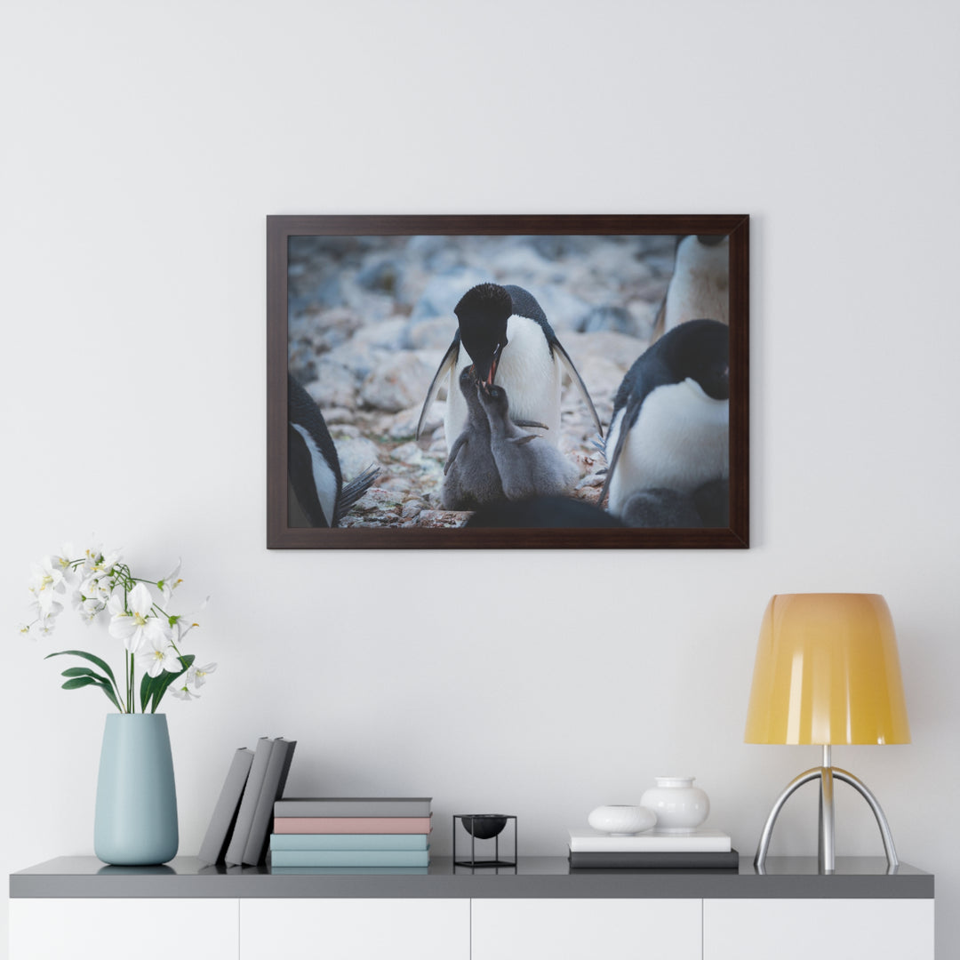 Feeding Time - Framed Print