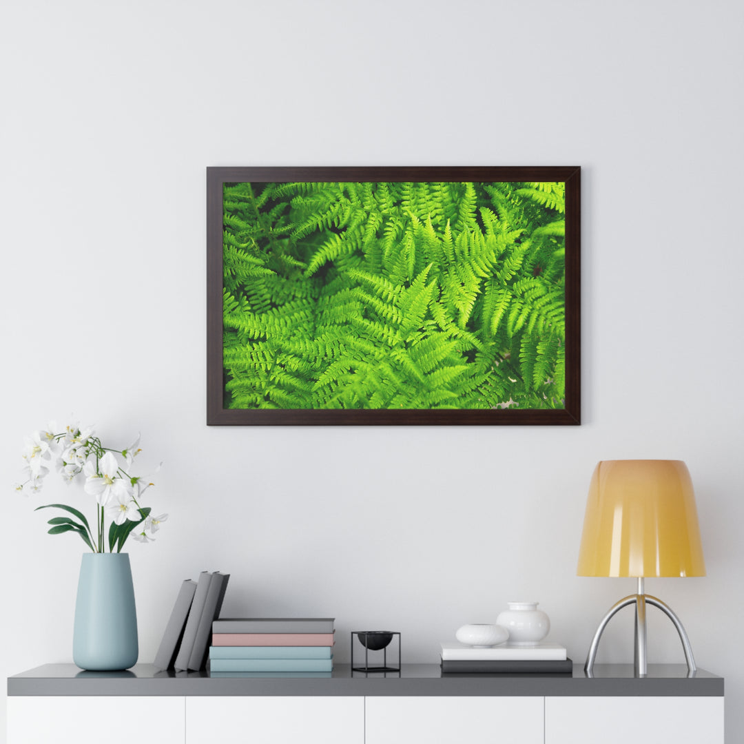 Ferns, Ferns, Ferns - Framed Print