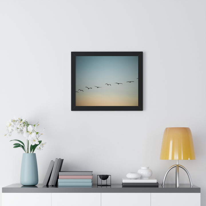 Brown Pelicans in Flight - Framed Print