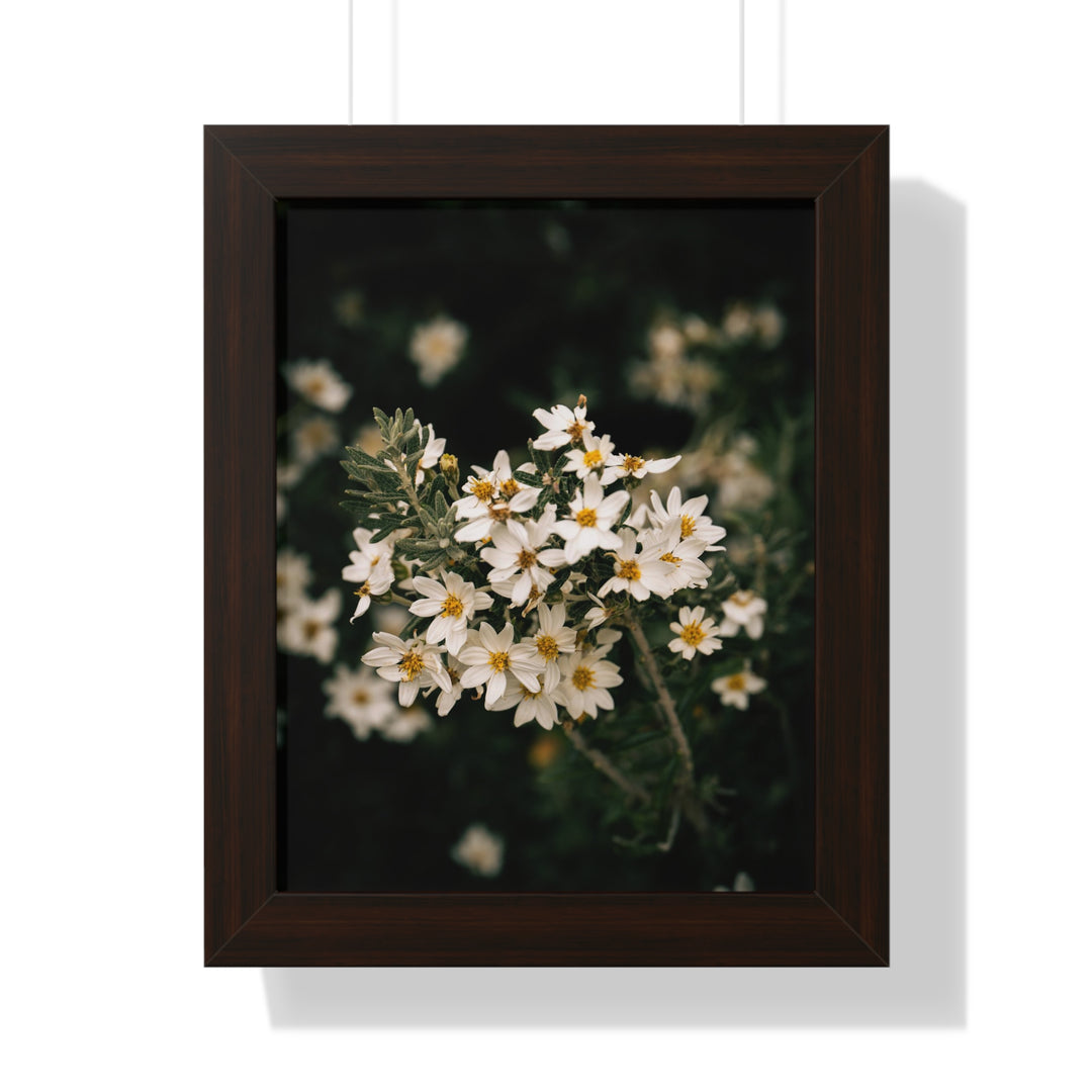 A Touch of White - Framed Print