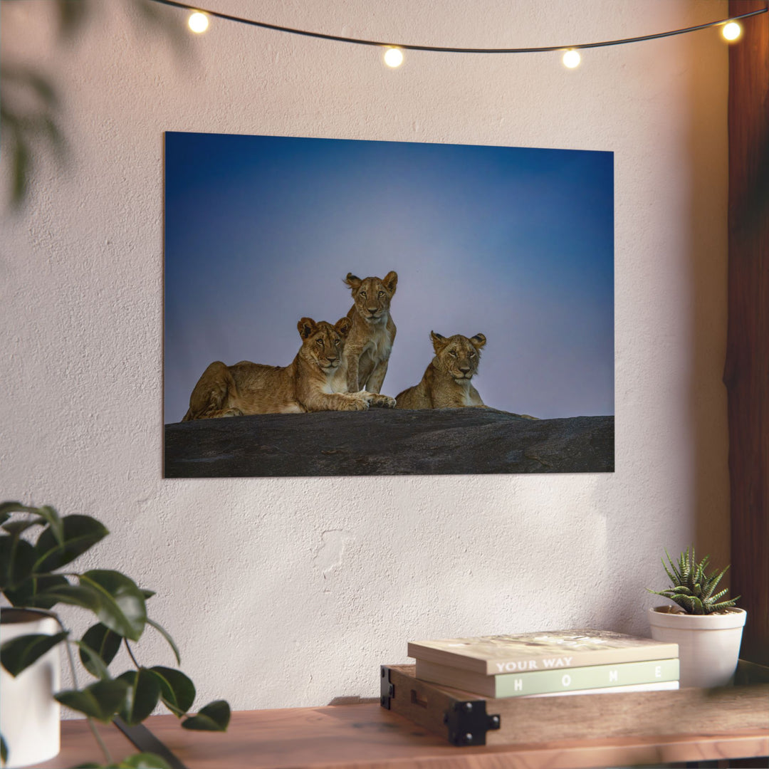 When the Light Fades Blue | Aluminum Wall Art | Elemental Escape Collection