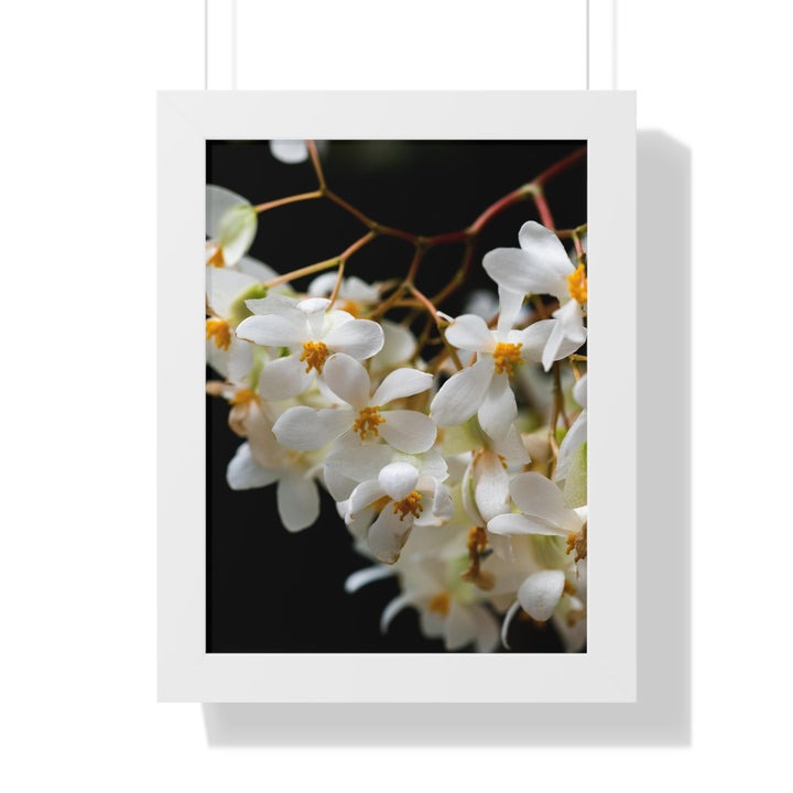 Floral Network - Framed Print