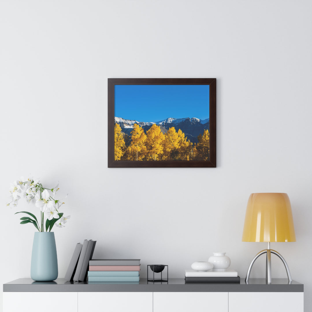Golden Glow - Framed Print