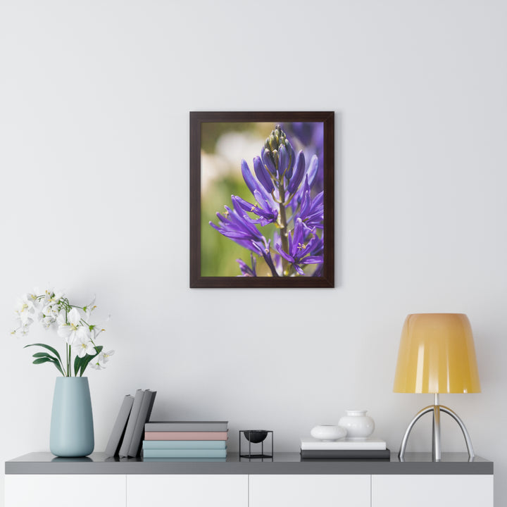 Camas in Bloom - Framed Print