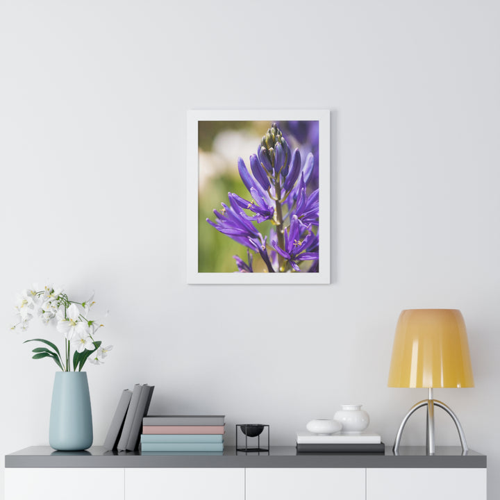 Camas in Bloom - Framed Print