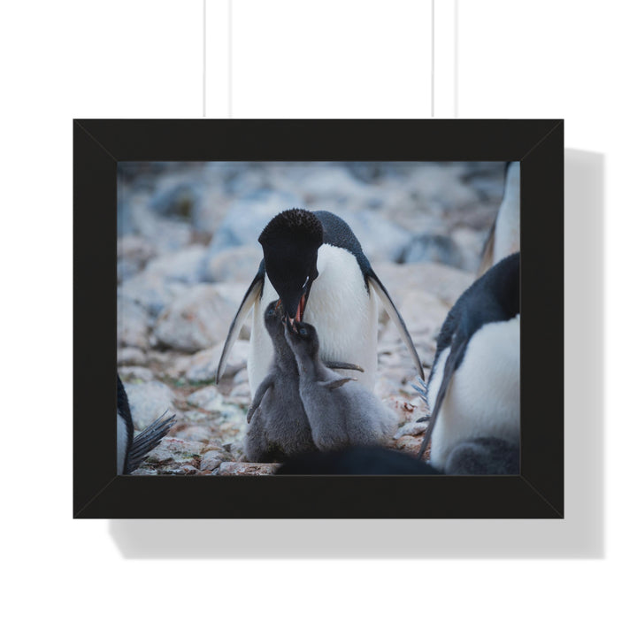 Feeding Time - Framed Print