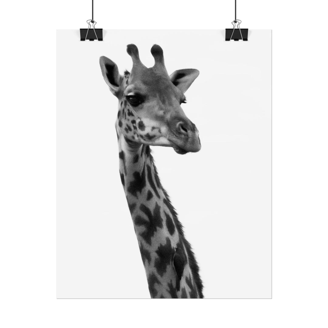 Giraffe Portrait in Black and White | Rolled Unframed Print | Elemental Escape Collection