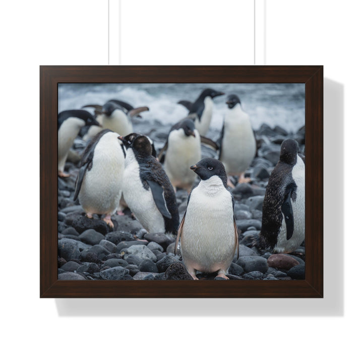 Drying Out - Framed Print