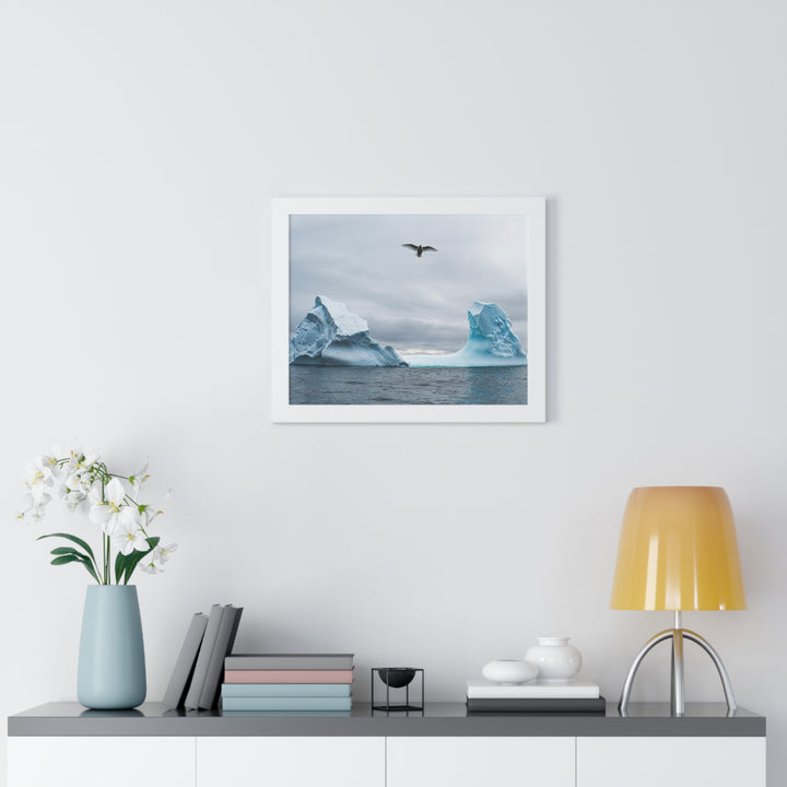 Antarctic Flight - Framed Print