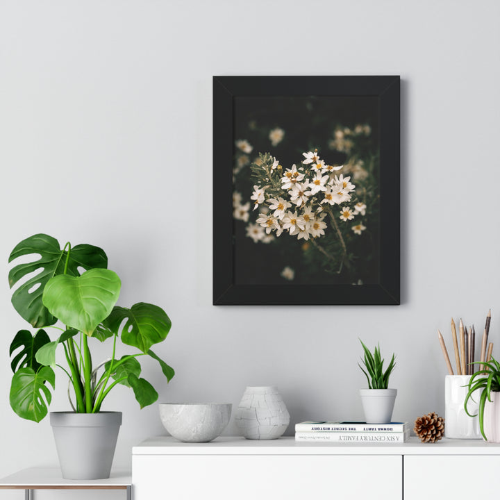 A Touch of White - Framed Print