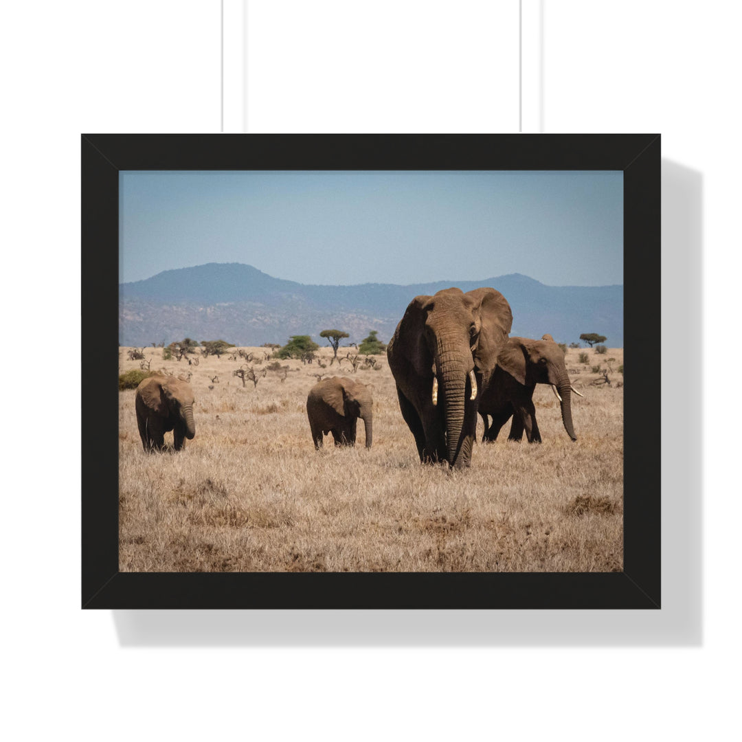 Family March - Framed Print