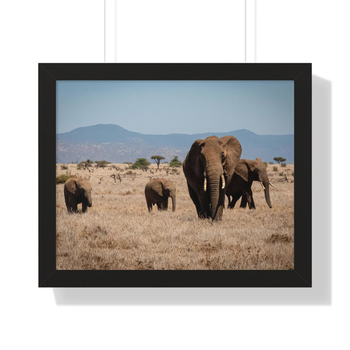 Family March - Framed Print
