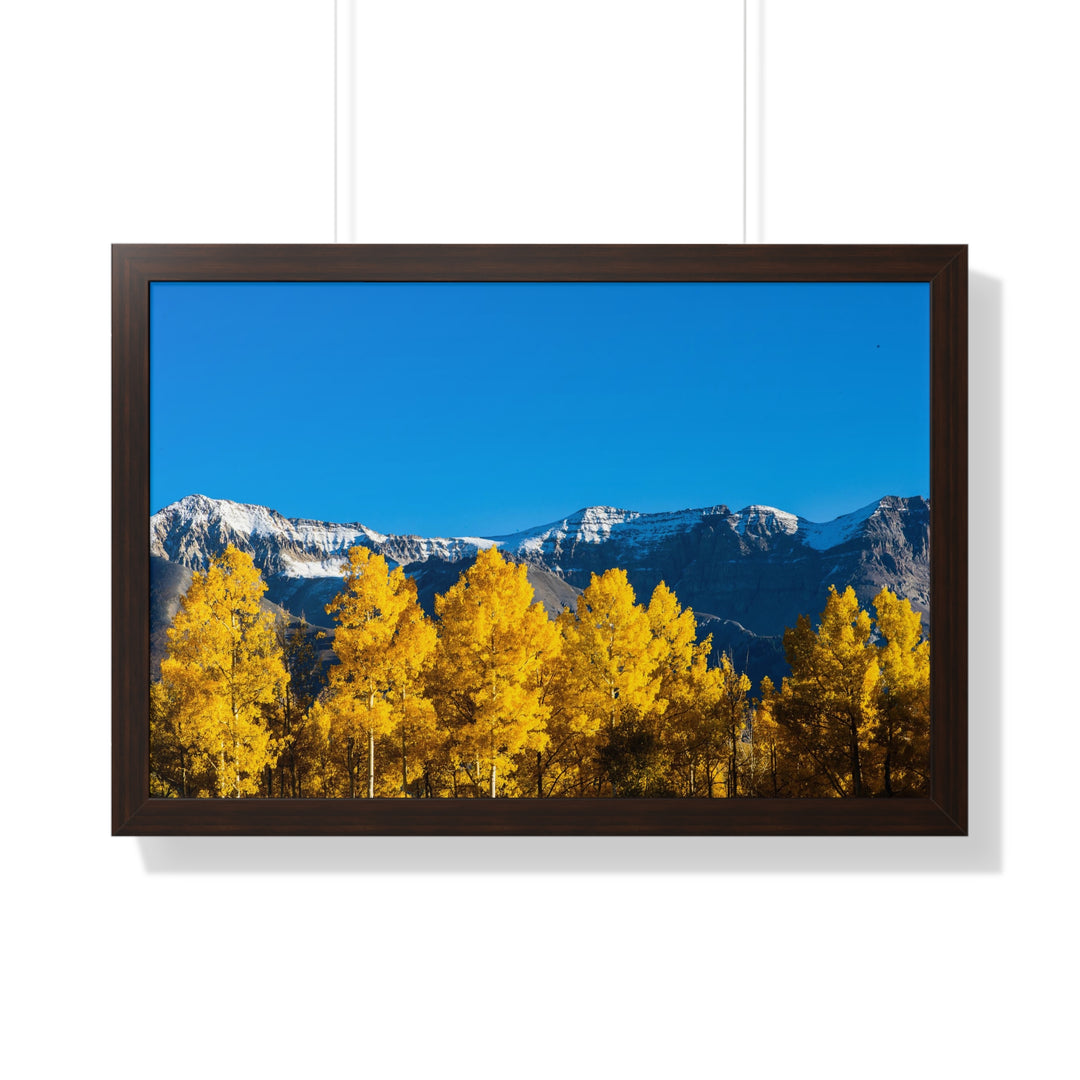 Golden Glow - Framed Print