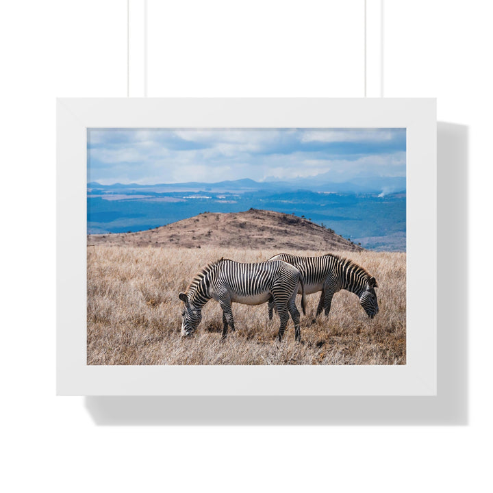 Zebra-Striped Expanse - Framed Print
