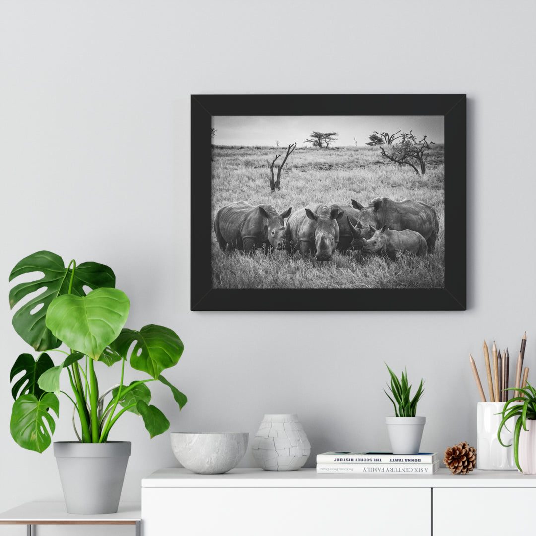 Rhino Family in Black and White - Framed Print