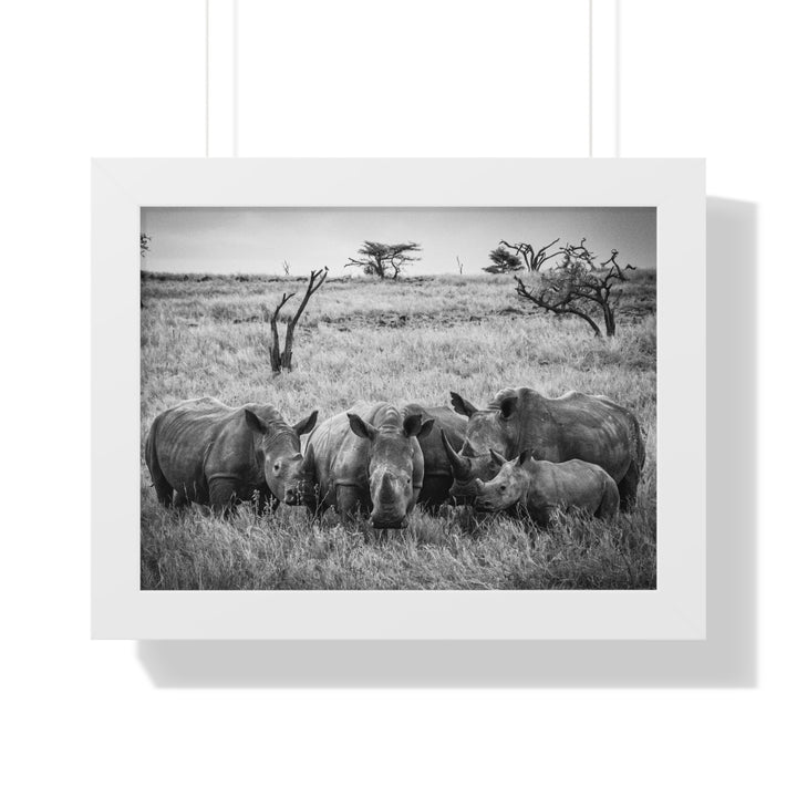 Rhino Family in Black and White - Framed Print