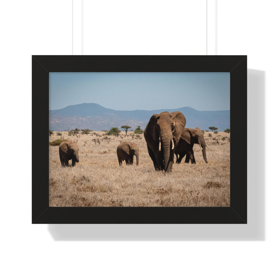 Family March - Framed Print