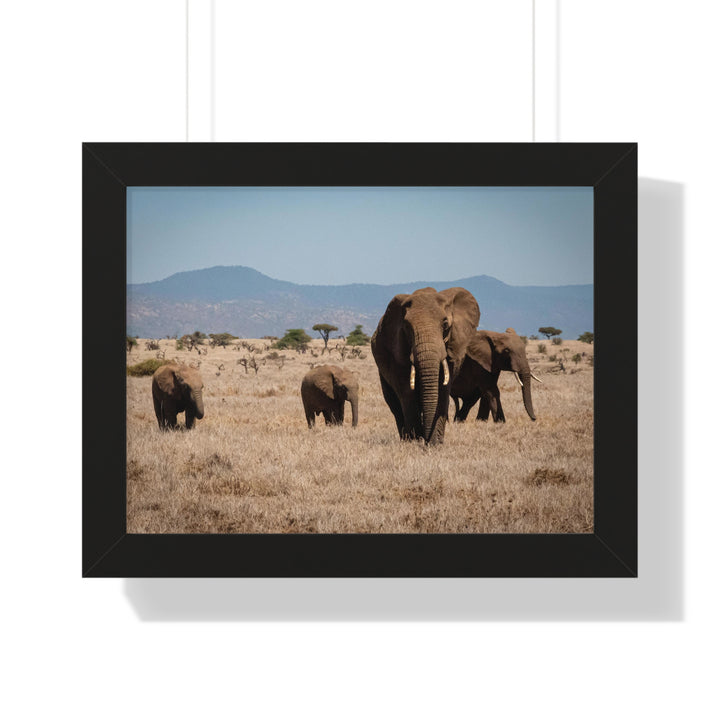 Family March - Framed Print