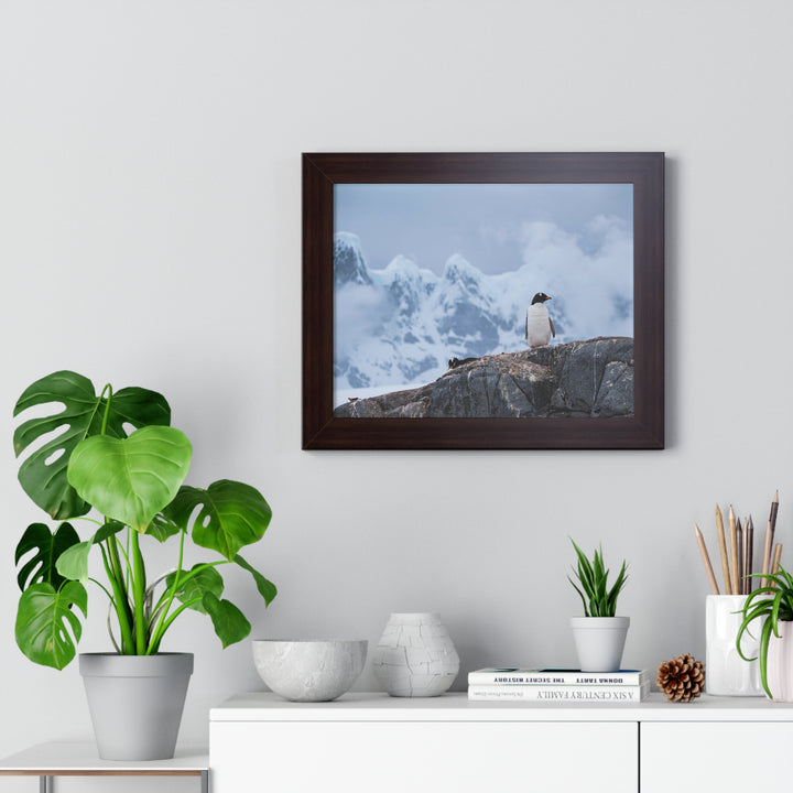 Poised Penguin - Framed Print