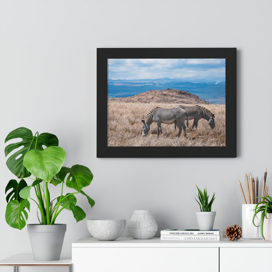 Zebra-Striped Expanse - Framed Print