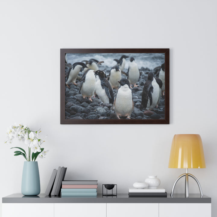 Drying Out - Framed Print