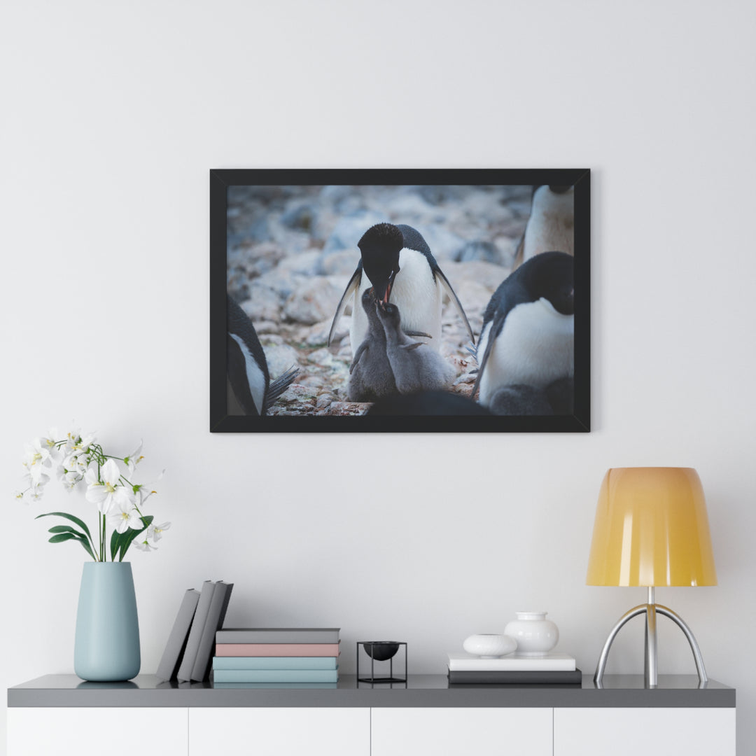 Feeding Time - Framed Print