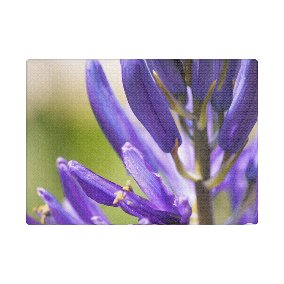 Camas in Bloom - Stretched Canvas Print, Floral Wall Art, Purple Flower Canvas, Home Decor, Nature Art for Living Room, Gift for Her, Botanical Print