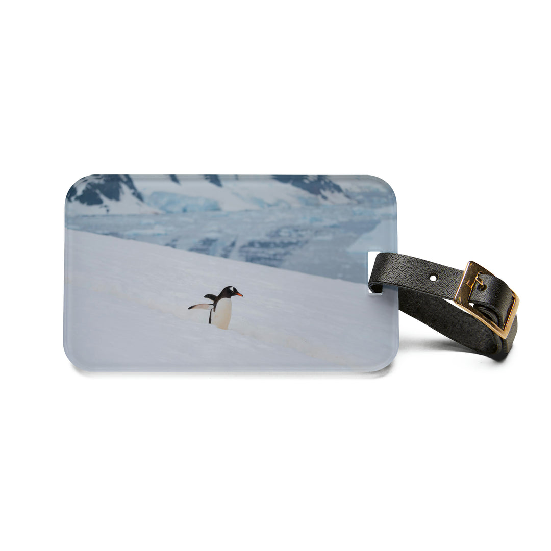 Determined March - Luggage Tag