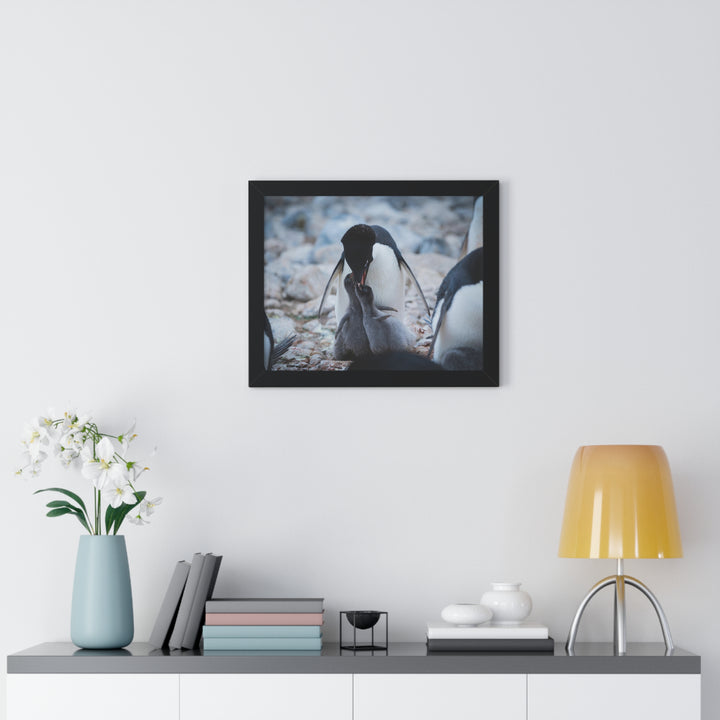 Feeding Time - Framed Print