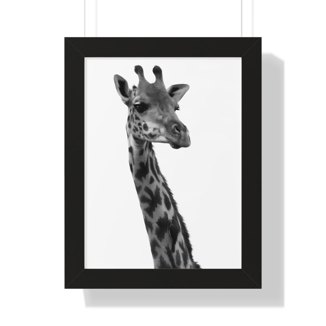 Giraffe Portrait in Black and White - Framed Print