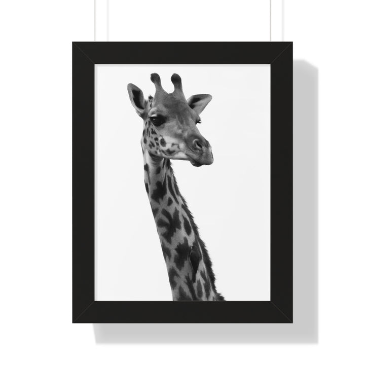 Giraffe Portrait in Black and White - Framed Print