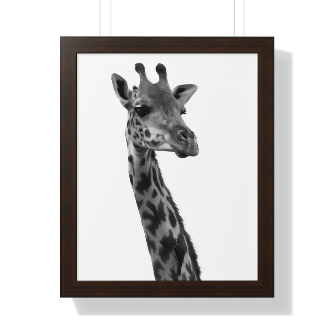 Giraffe Portrait in Black and White - Framed Print