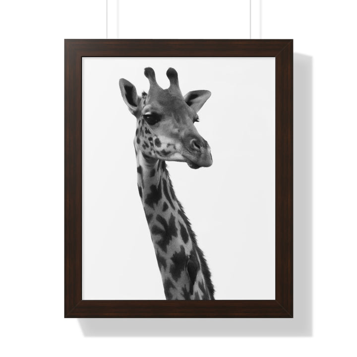 Giraffe Portrait in Black and White - Framed Print