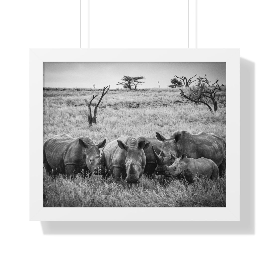 Rhino Family in Black and White - Framed Print
