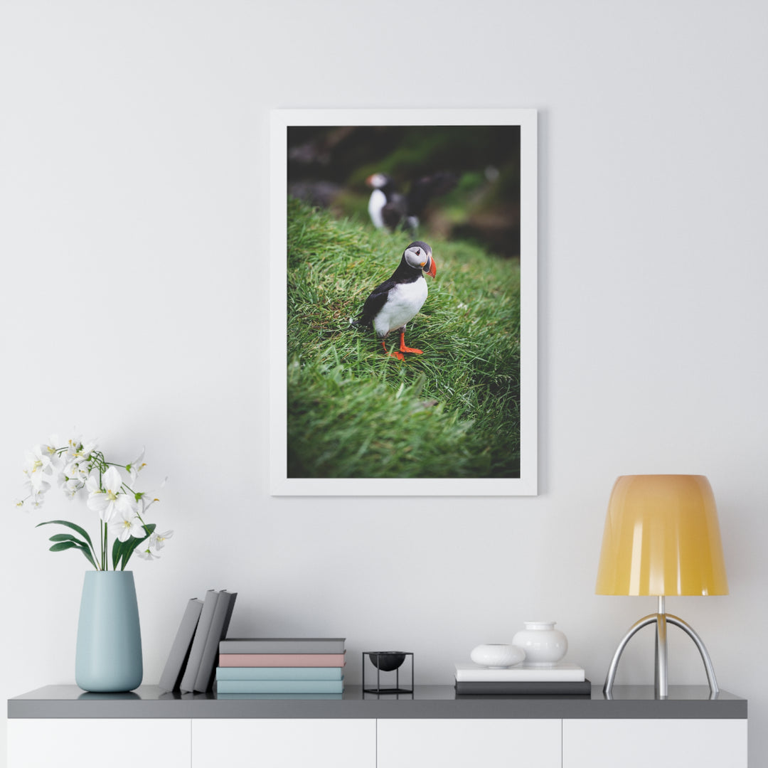 Curious Look - Framed Print