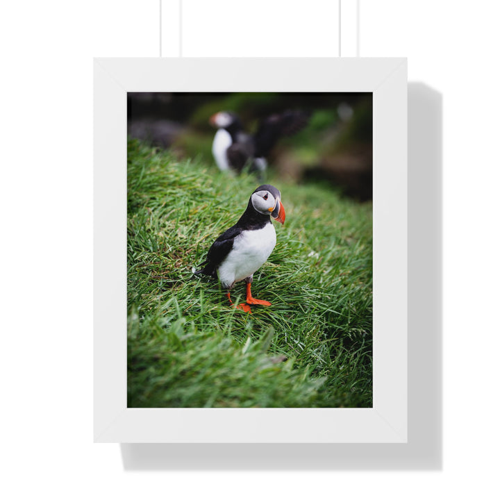 Curious Look - Framed Print