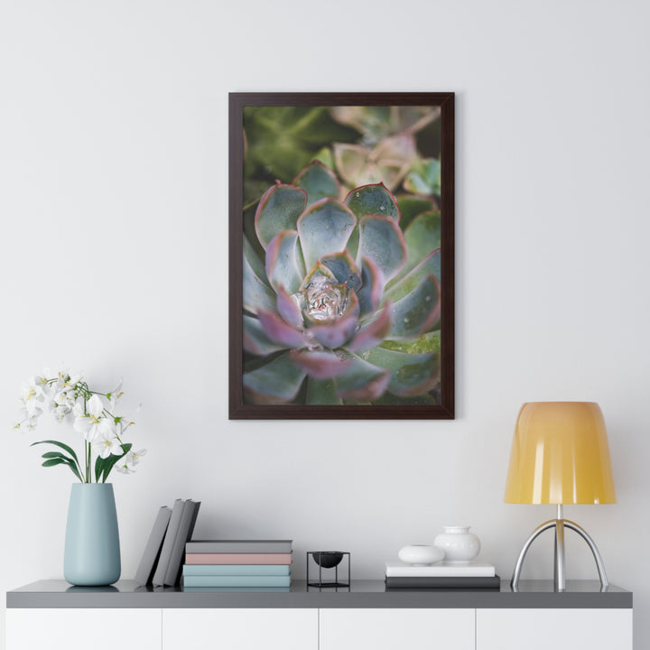 Stunning Succulent - Framed Print