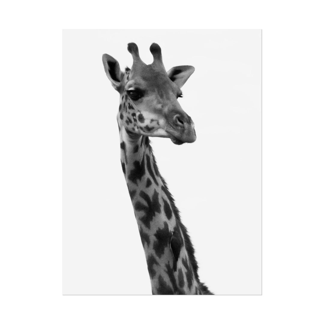Giraffe Portrait in Black and White | Rolled Unframed Print | Elemental Escape Collection