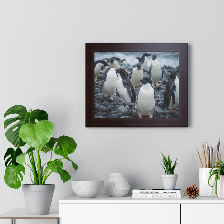 Drying Out - Framed Print
