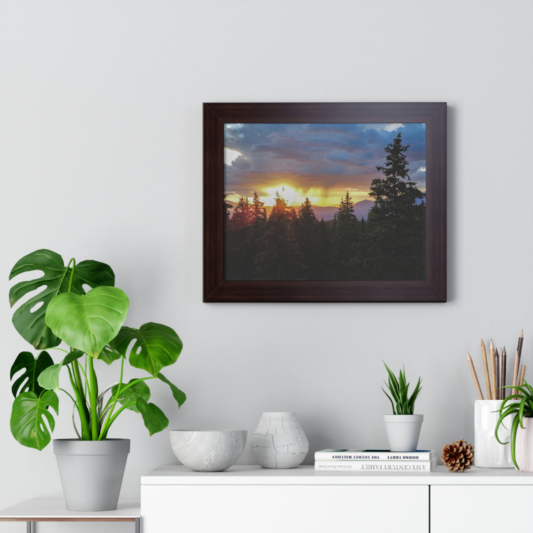 Rainy Sunset Through the Trees - Framed Print