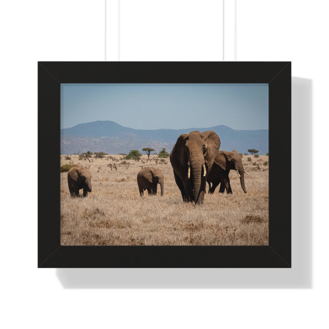 Family March - Framed Print