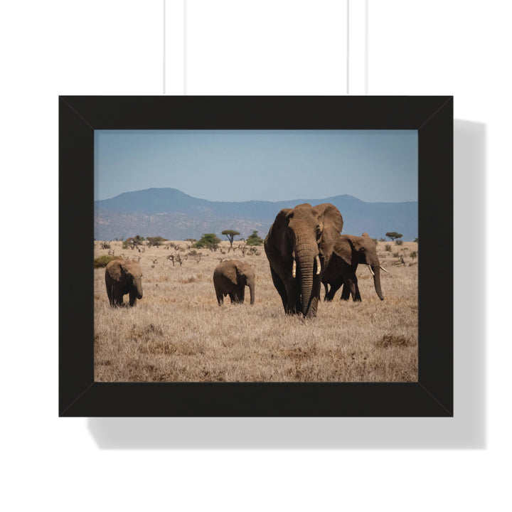 Family March - Framed Print