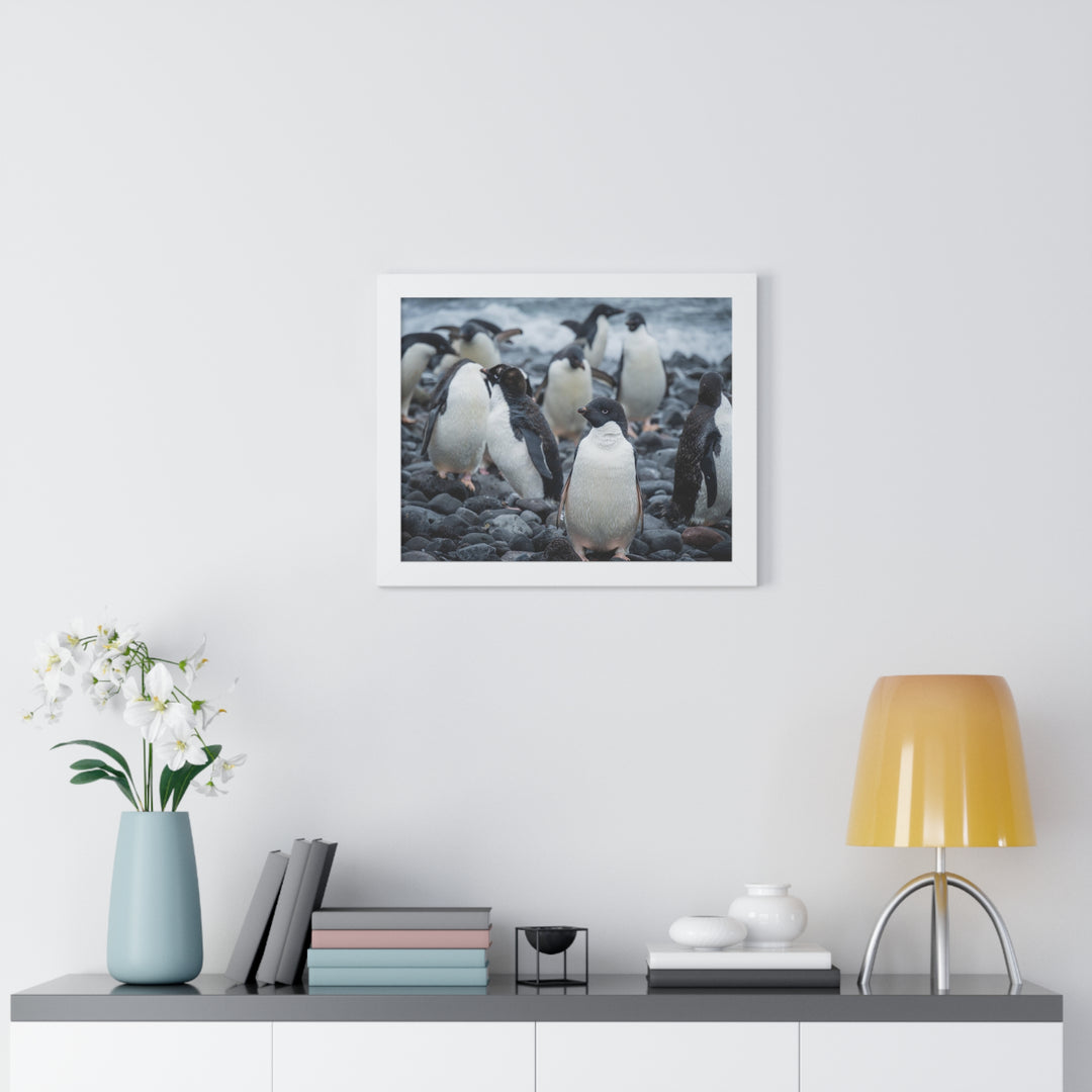 Drying Out - Framed Print