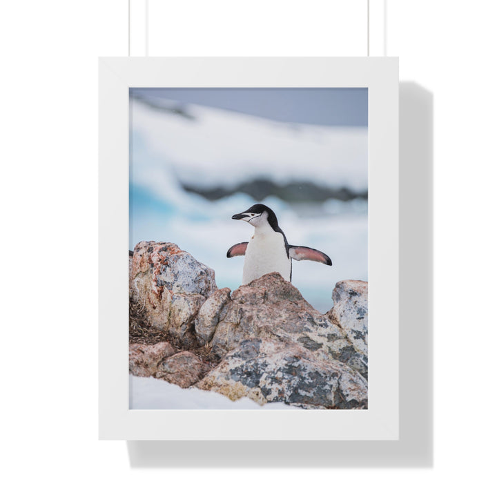 Stretched Penguin - Framed Print