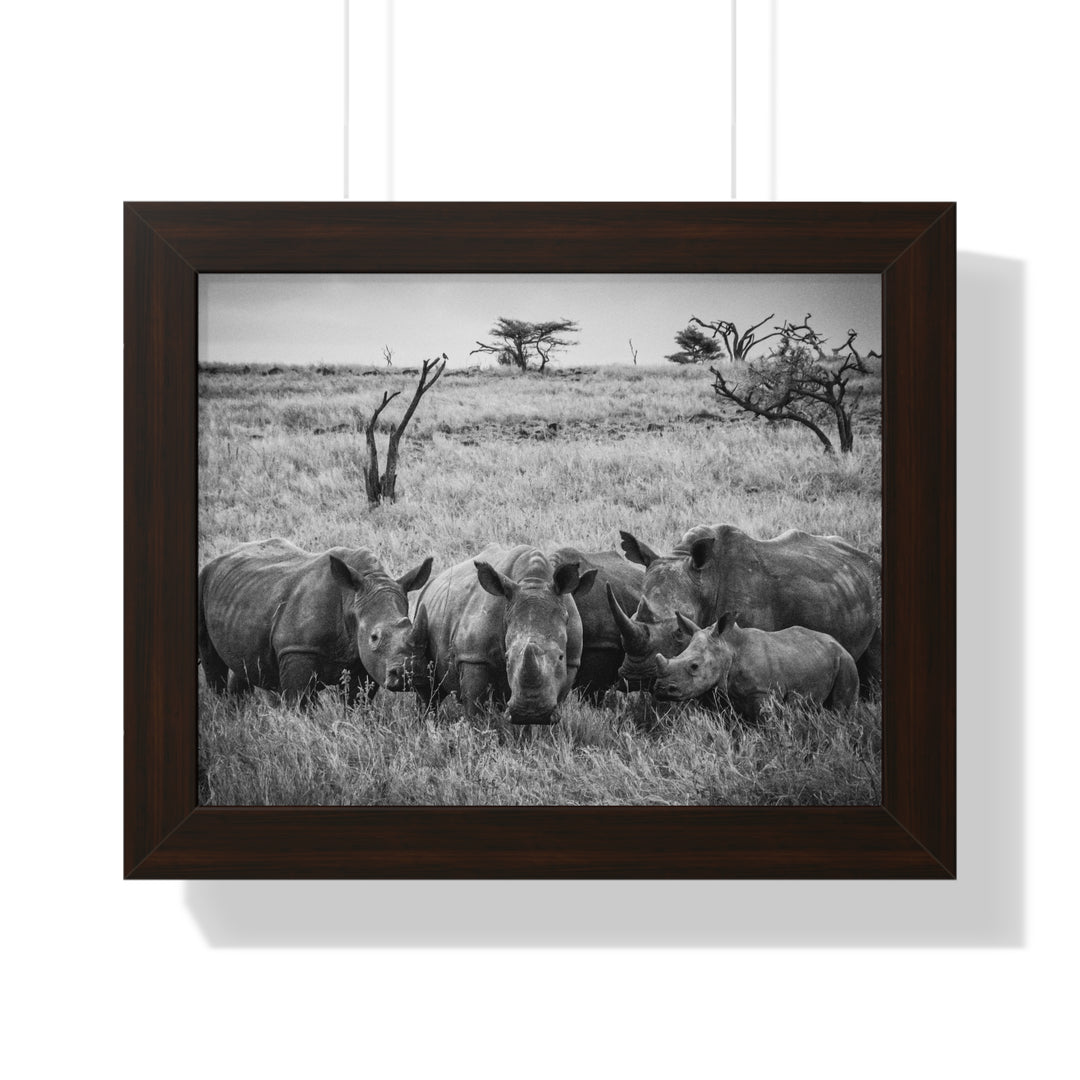 Rhino Family in Black and White - Framed Print