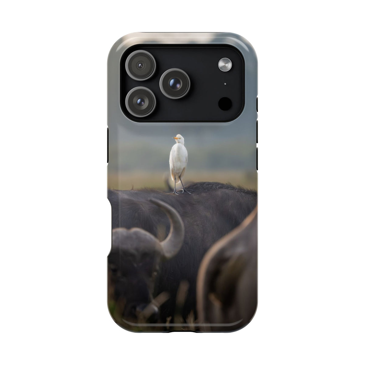 Copy of Magnetic Impact-Resistant Cases